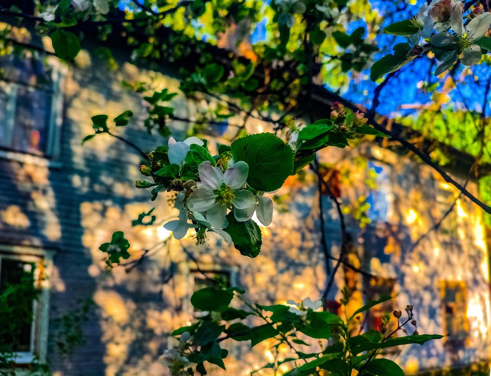 Фотография автора Нина Зинченко