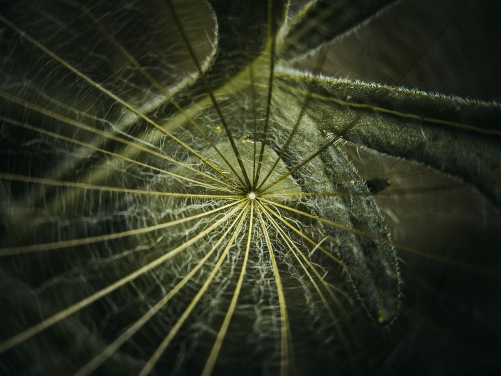 Photograph by Vitaliy