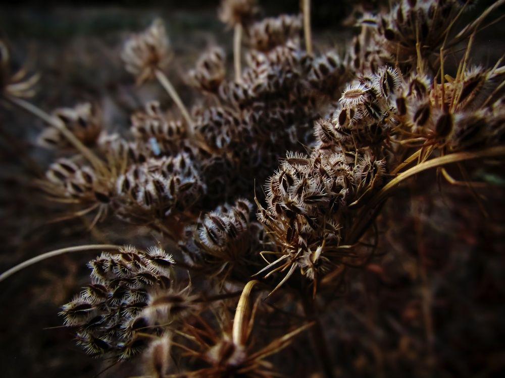 Photograph by Раиса Николаева