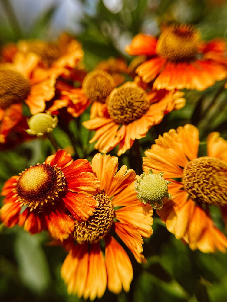 Photograph by Алиса Чугунова