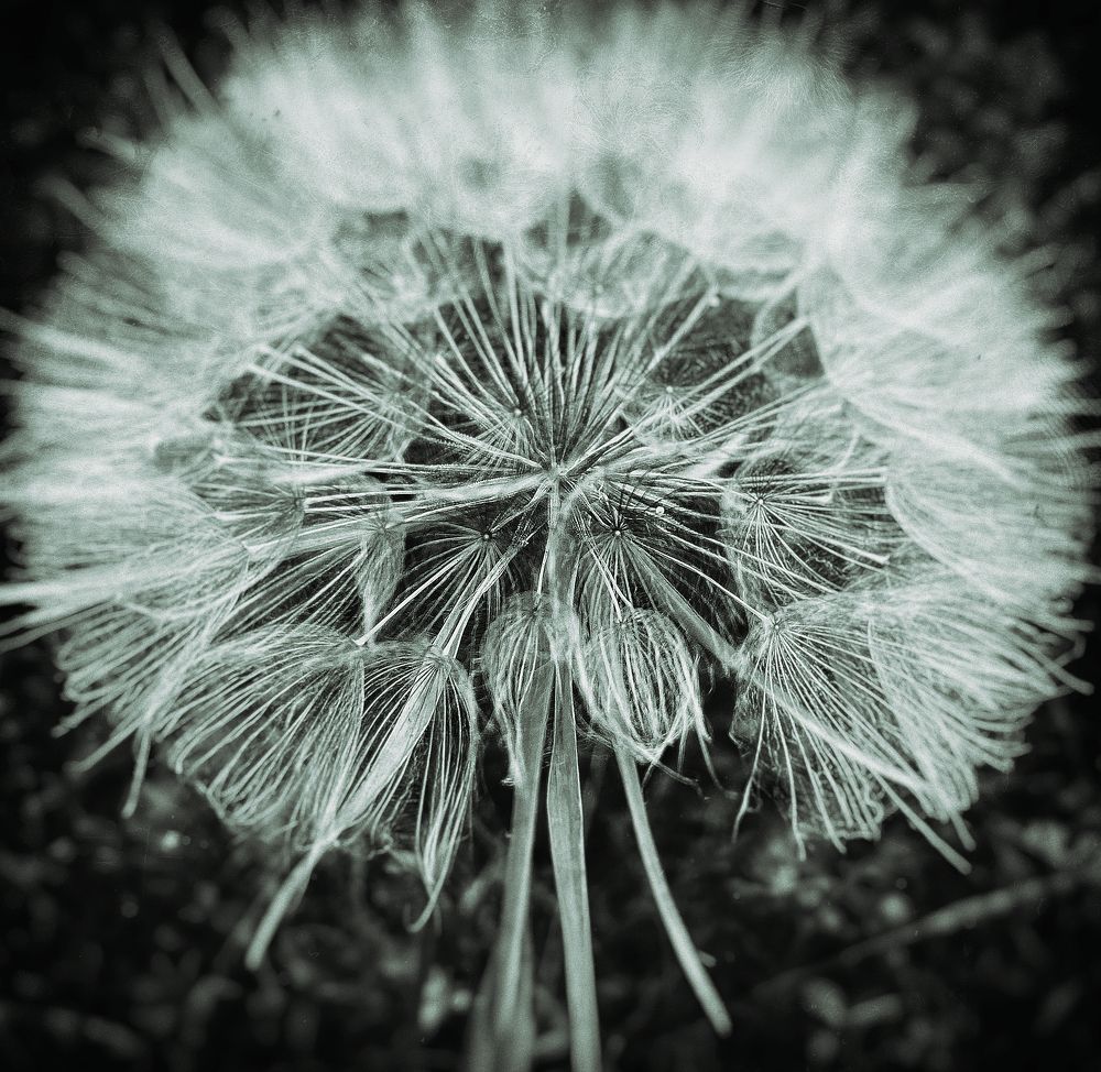 Photograph by Lana Cardi