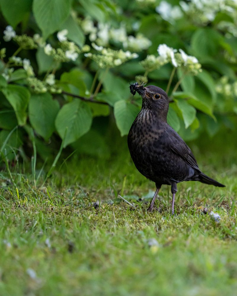 Photograph by Anton Leonchikov