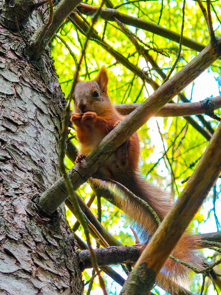 Photograph by Максим Кутсар