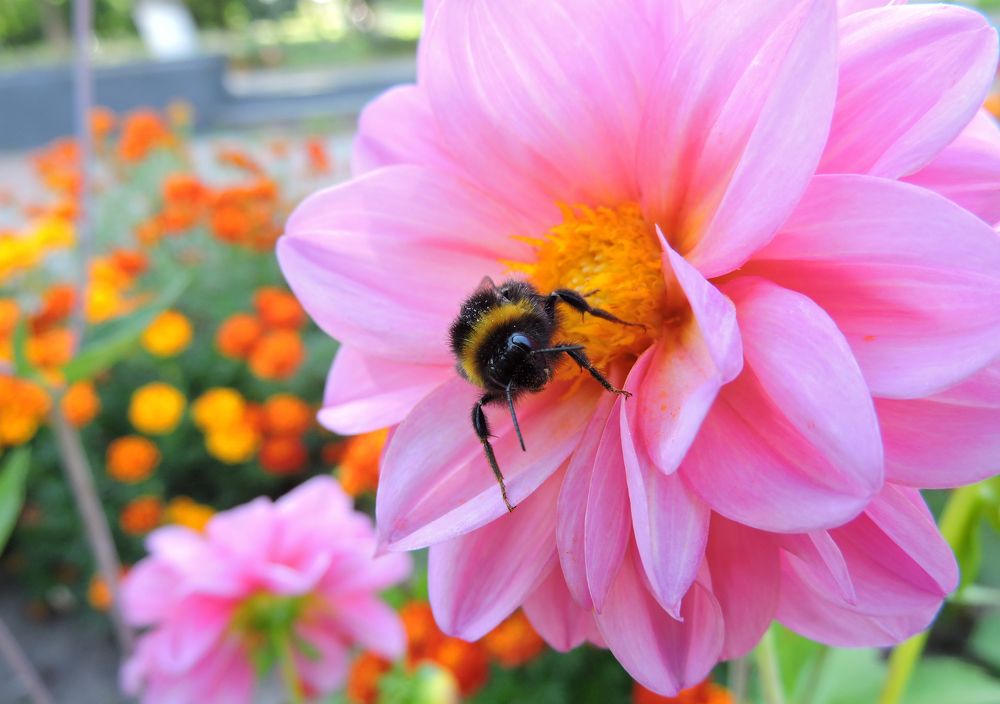 Photograph by Tatiana