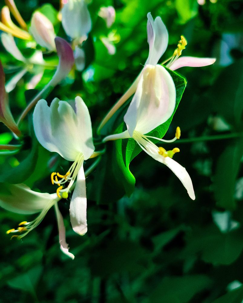 Фотография автора Нина Зинченко