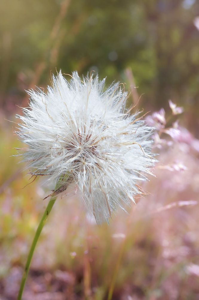 Photograph by Sylwia Mierzejewska