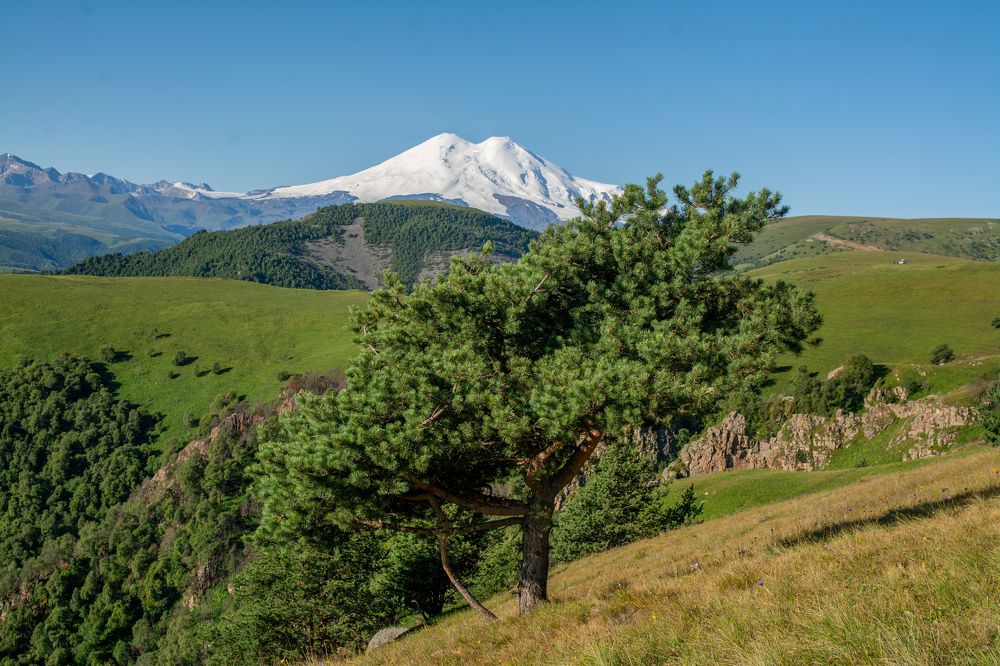 Photograph by Андрей