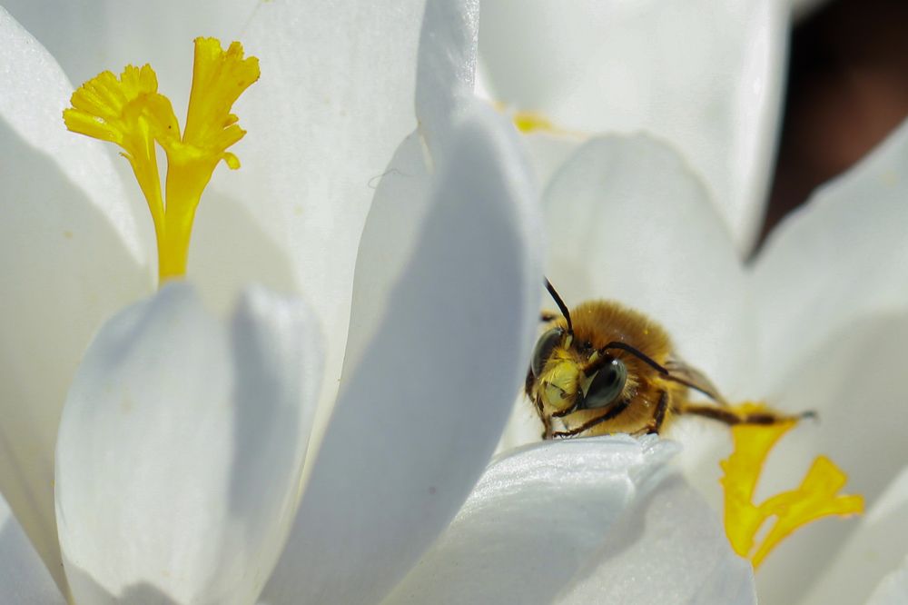 Photograph by Василика Кондратьева