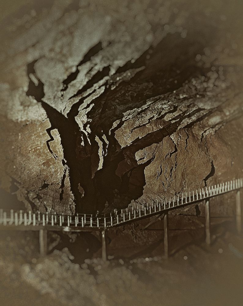 Photograph by Lana Cardi