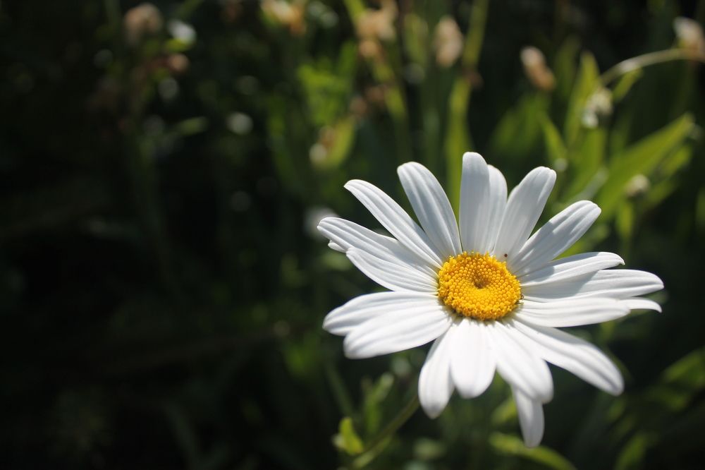 Photograph by Василика Кондратьева