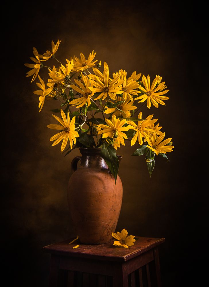 Photograph by Хвойнова Елена