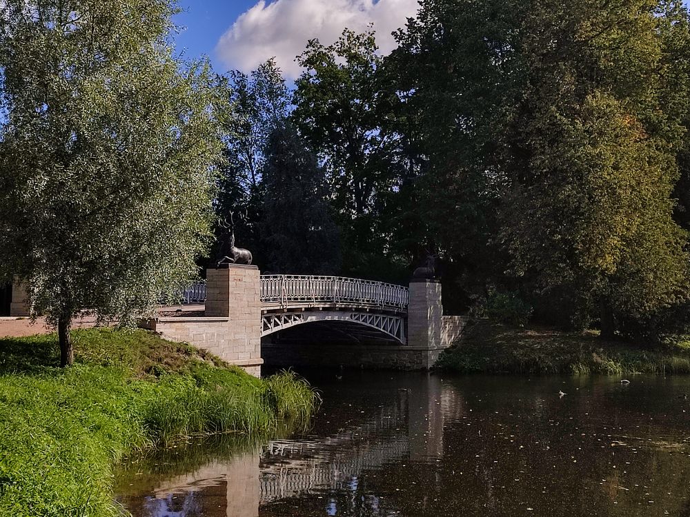 Фотография автора Мария Филиппова