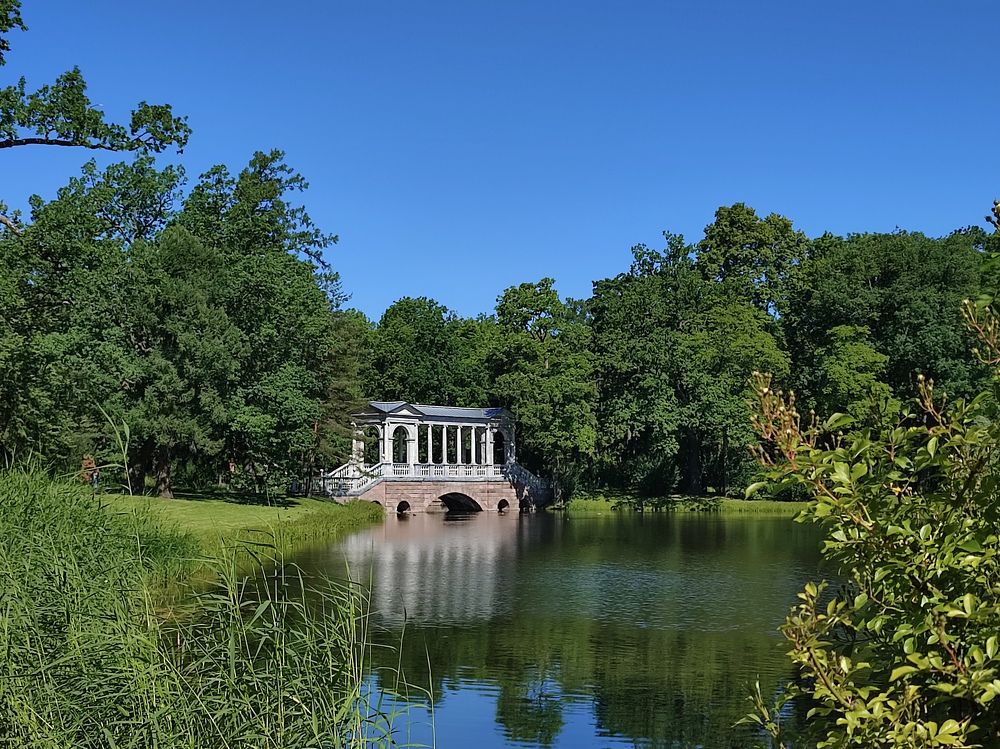 Фотография автора Мария Филиппова