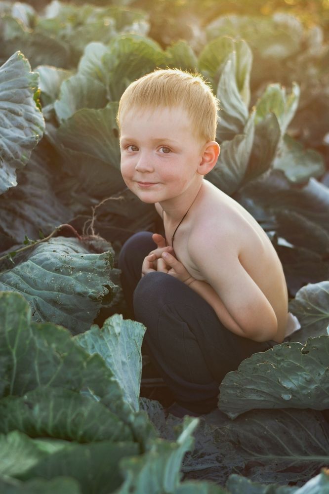 В золотых лучах