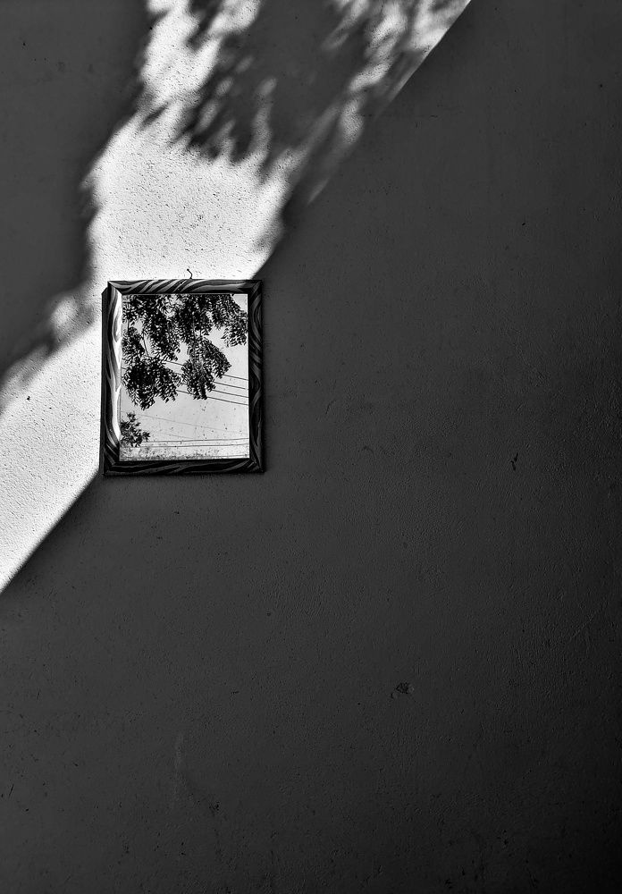 Фотография автора Abhitha