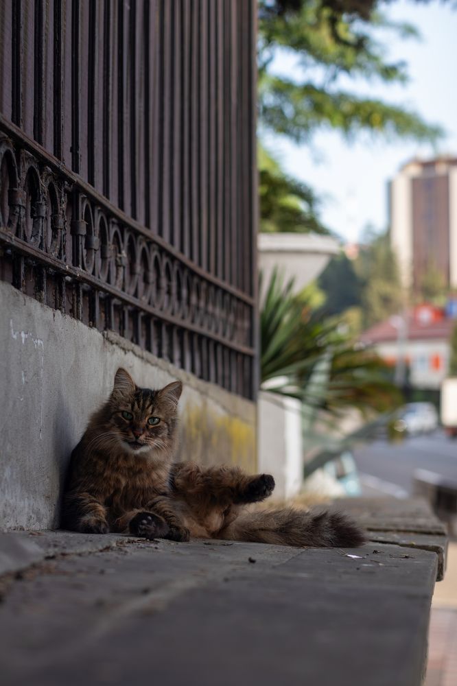 Photograph by Александр Свиблов