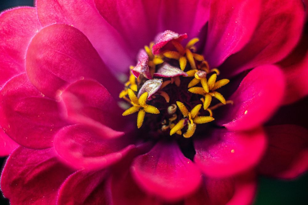 Photograph by Daniel Rain