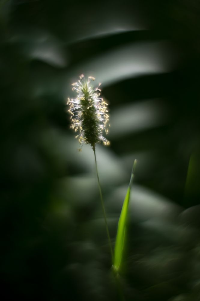 Photograph by Евгения Лосева