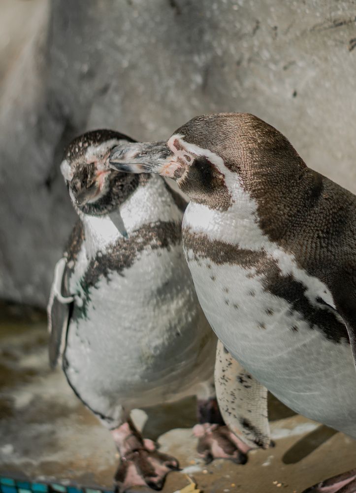 Photograph by Анжелика Александрова