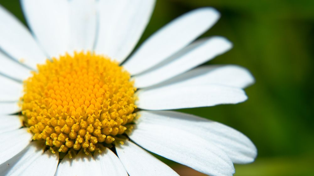 Фотография автора Войнов Дмитрий