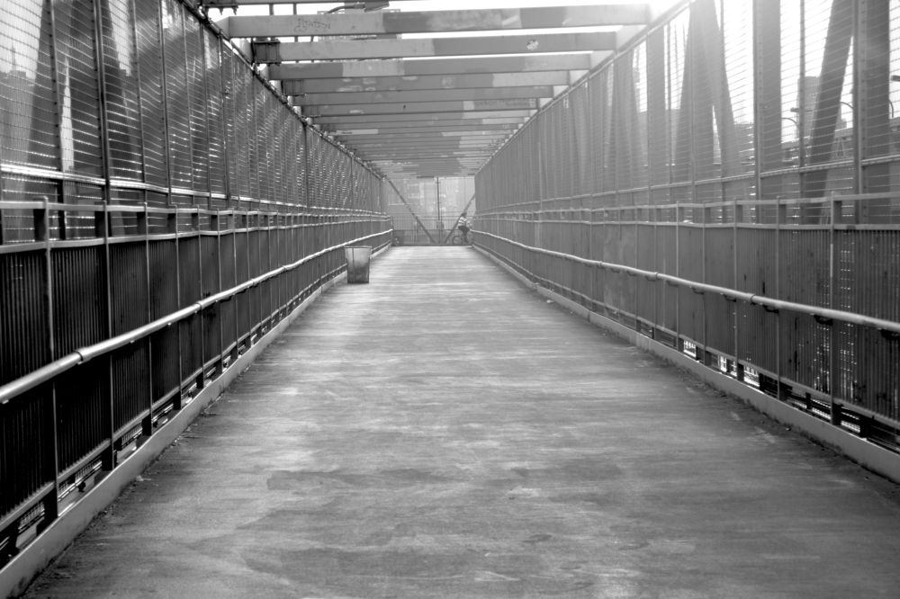 Photograph by Patricia Delionardis