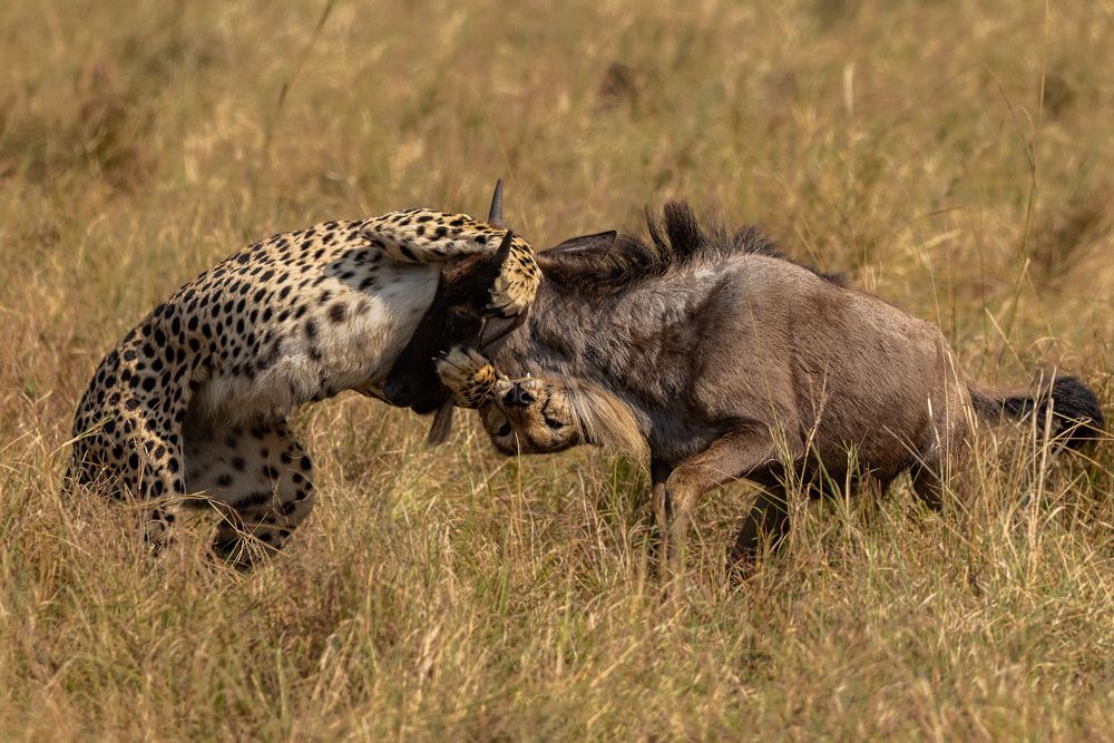 Photograph by Sai Kiran Bhagavatula