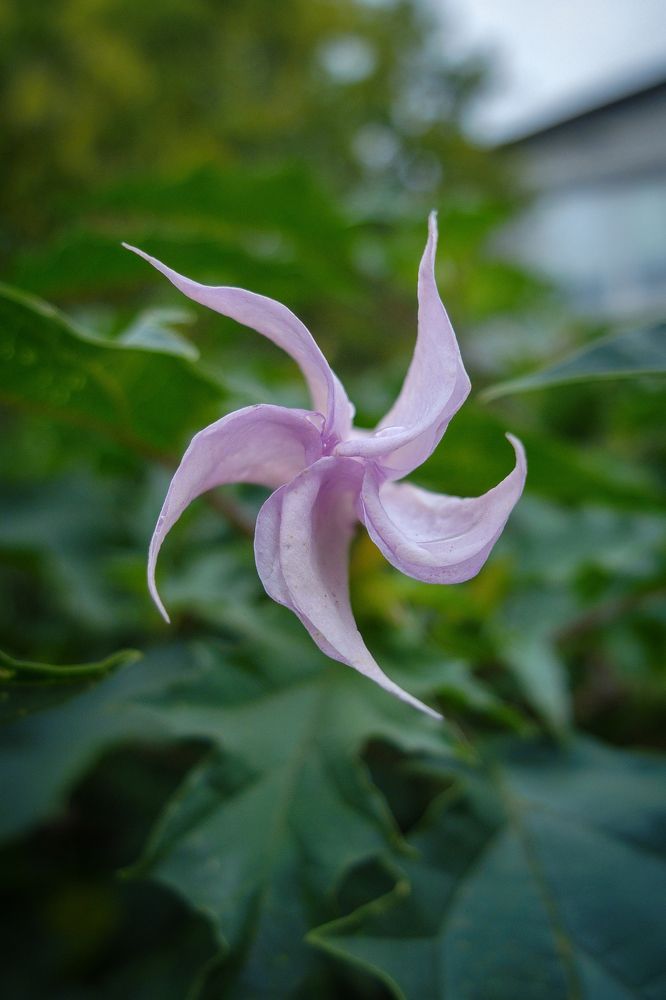 Photograph by Михаил Мостовой