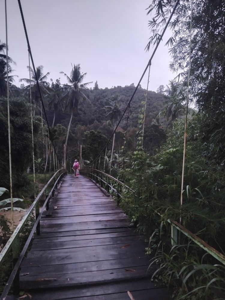" Menyeberang di Pagi Hari