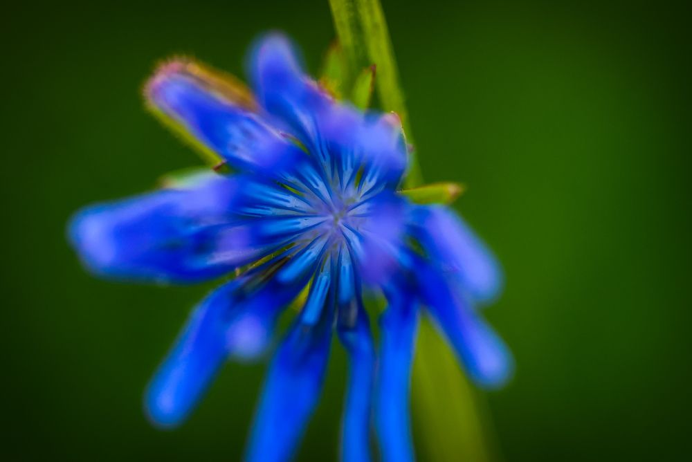 Photograph by Евгения Сенченко
