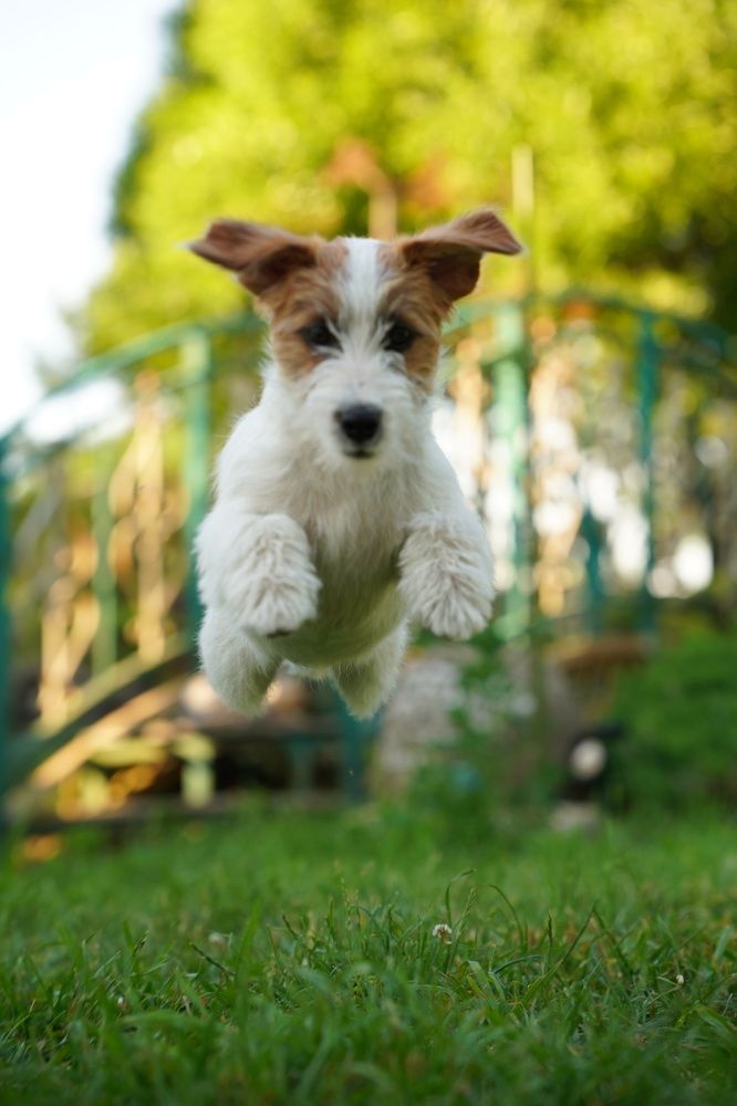 Photograph by Марина Рыбакова