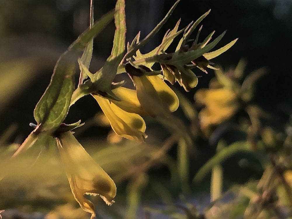 Photograph by Анастасия Давиденко