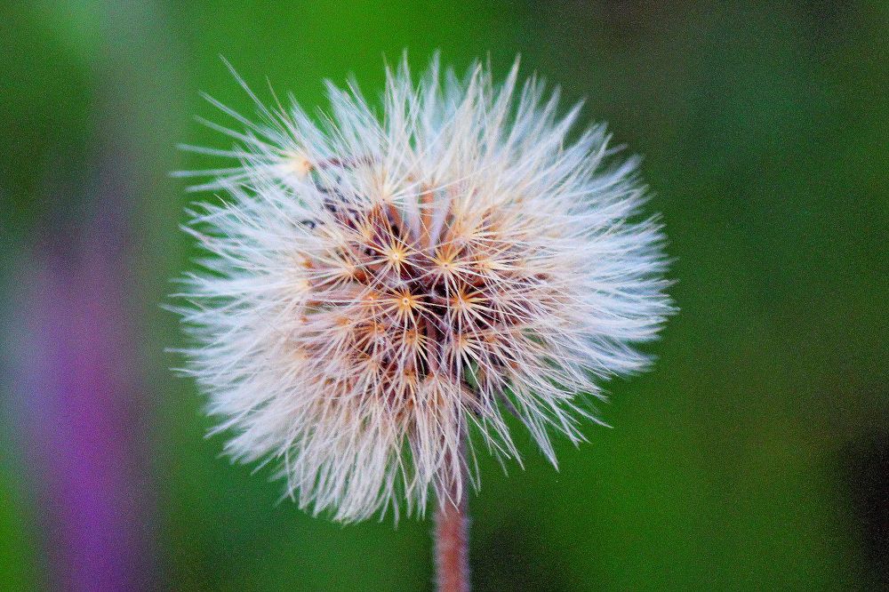 Photograph by Александр Бугаенко