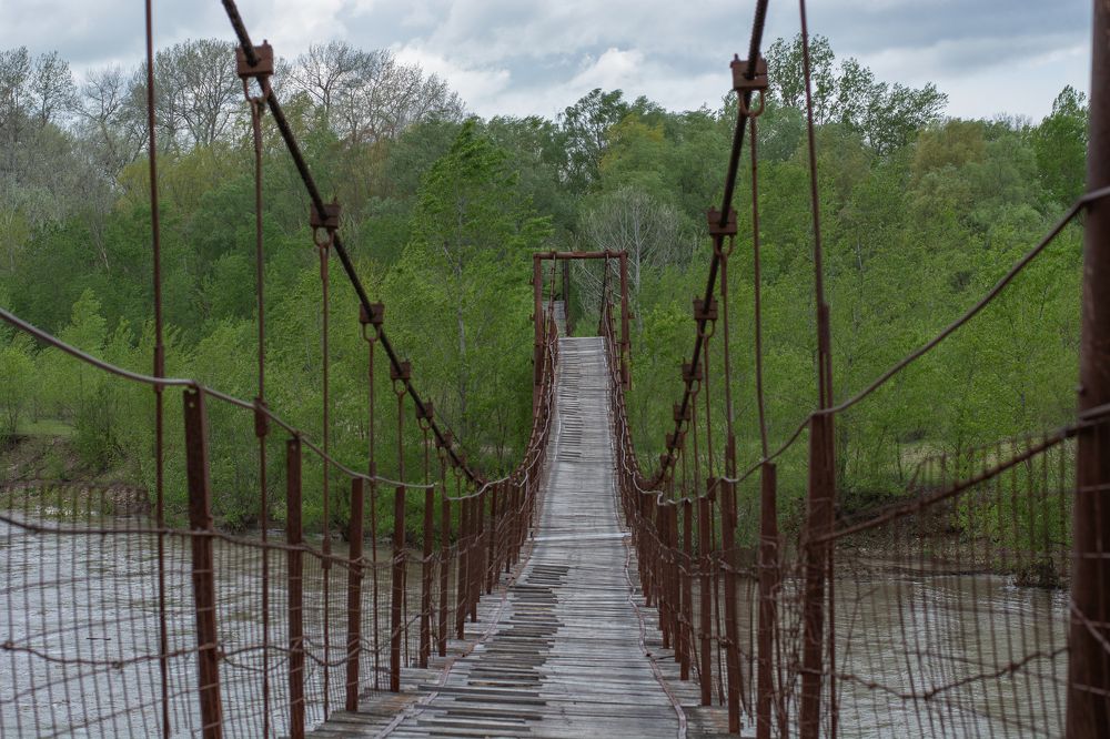 Photograph by Забудская Наталья