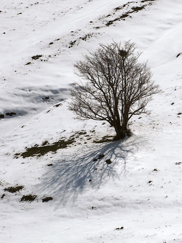 Photograph by Farid Ataei