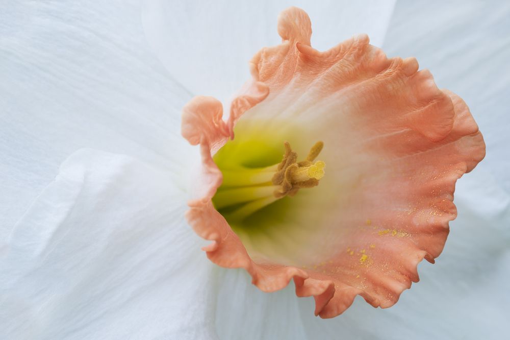 Photograph by Luca Menotti