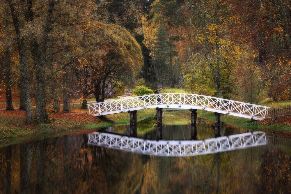 Photograph by Юрий