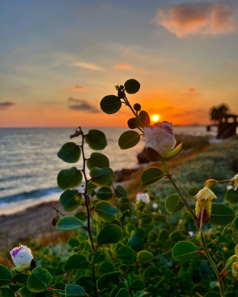 Photograph by Шестакова Наталья