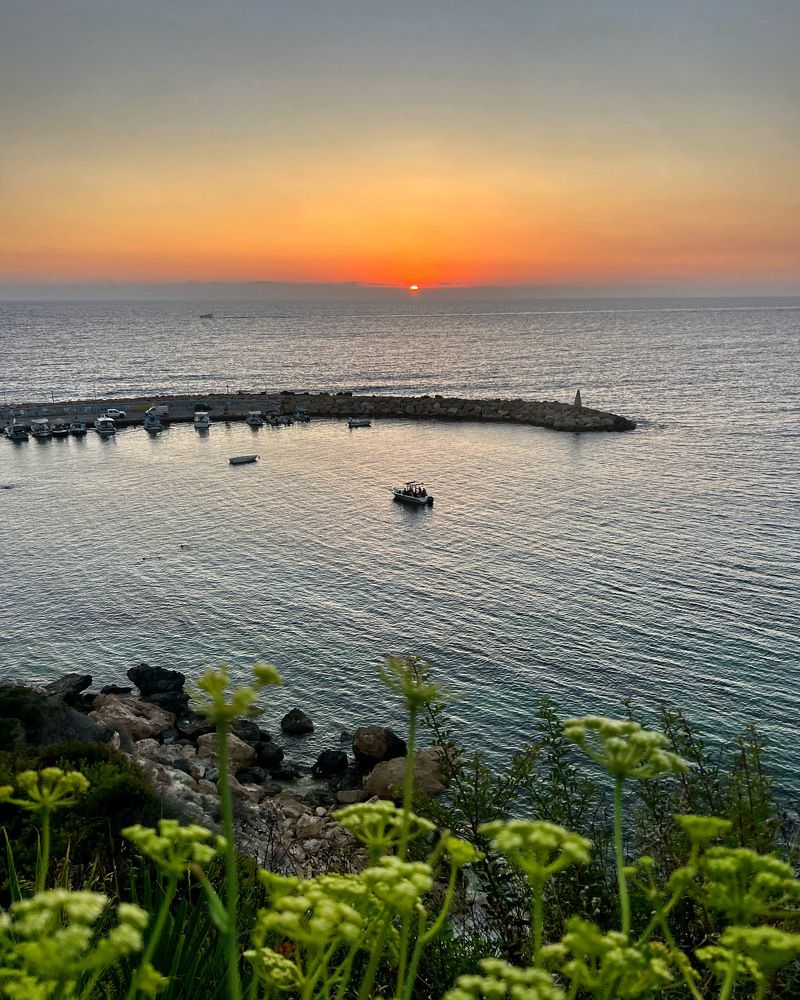 Photograph by Шестакова Наталья