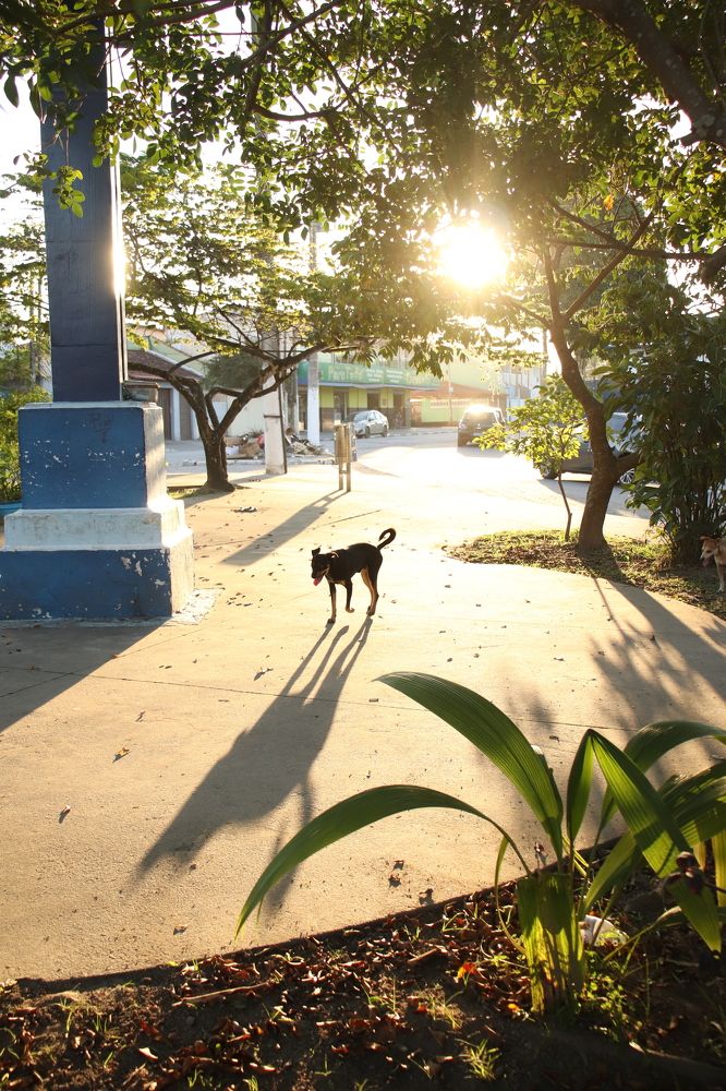 Photograph by Luiz Gustavo Campino Grunewald