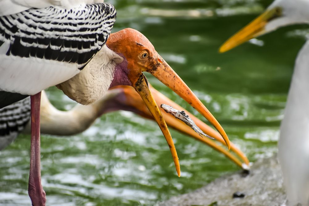 Photograph by Naman Vishwajeet