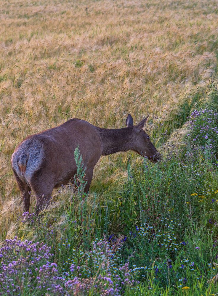 Фотография автора Шуплецов Алексей