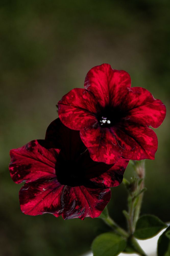 Photograph by Никита Викторович