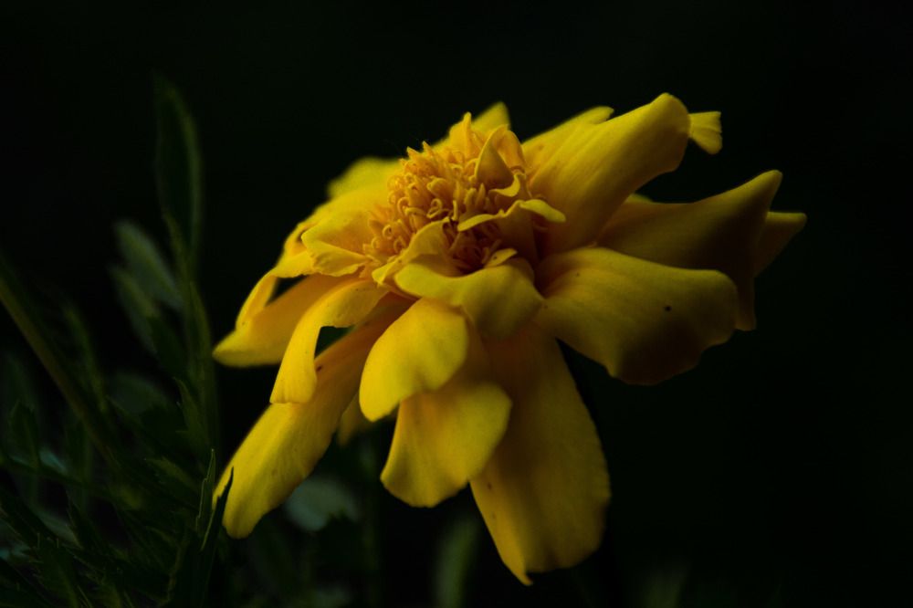 Photograph by Никита Викторович