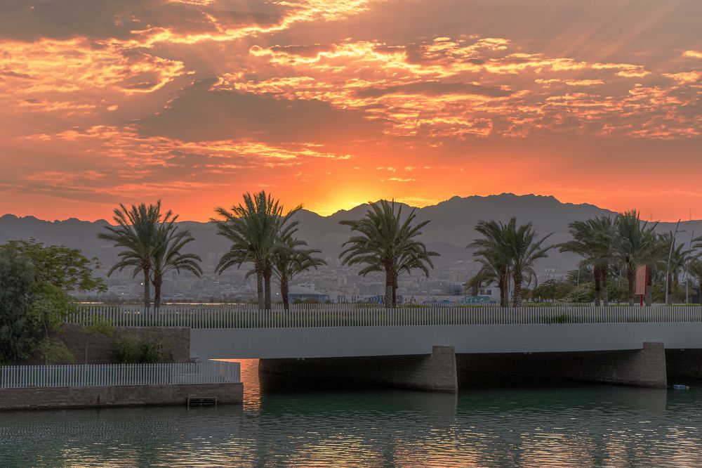 Photograph by Ali Abu Ras