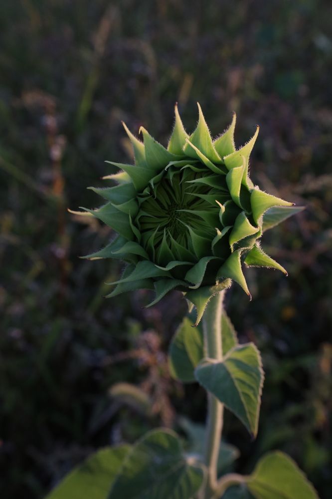 Photograph by Макарова Татьяна