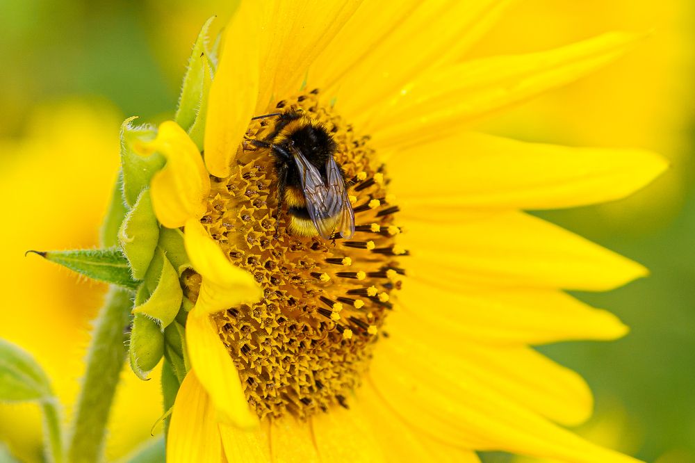 Photograph by Valdis Serzhans