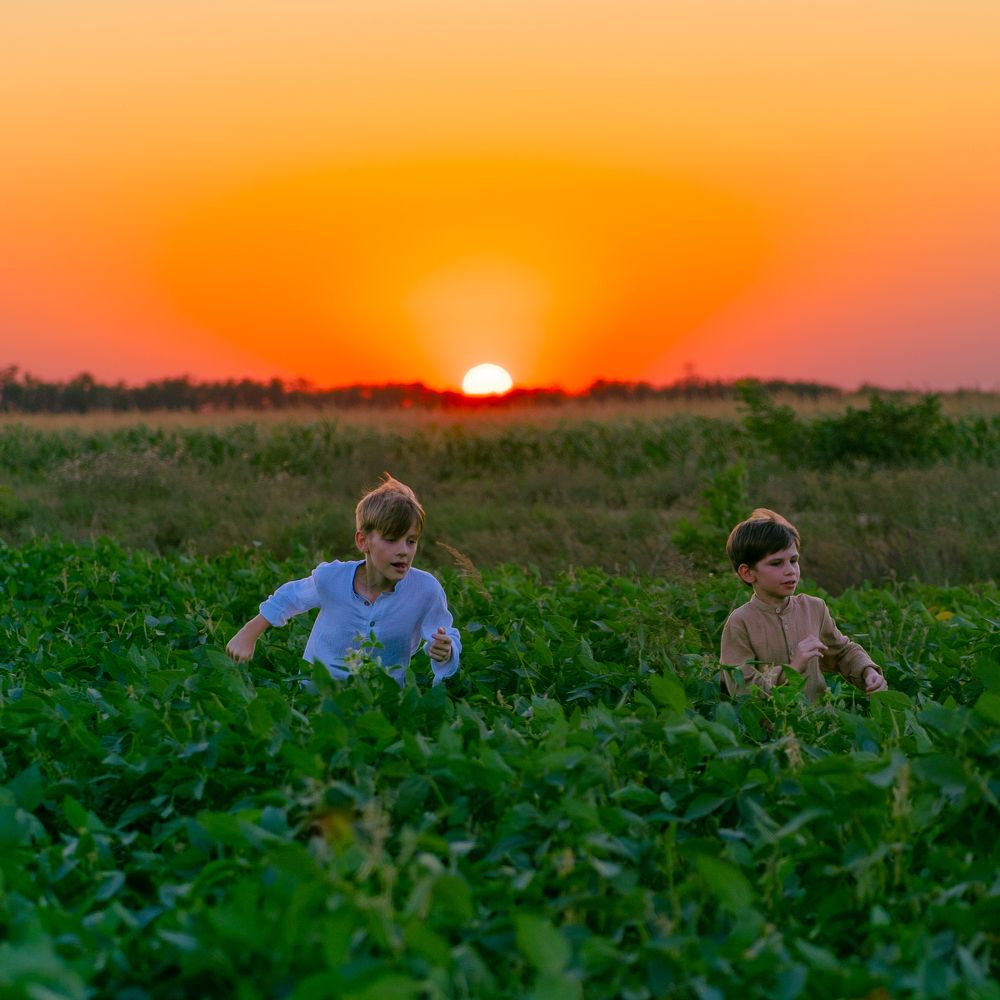 Фотография автора Elena Aleshina