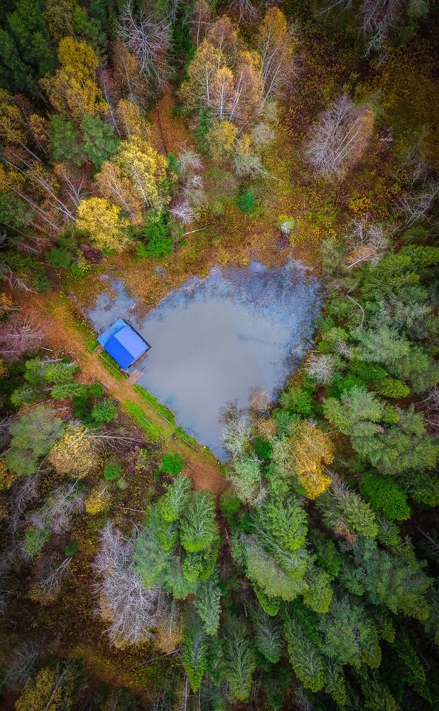 Фотография автора Шуплецов Алексей