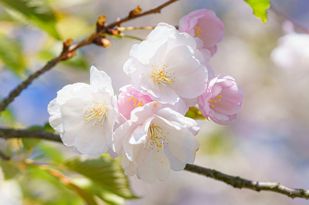 Photograph by Valdis Serzhans