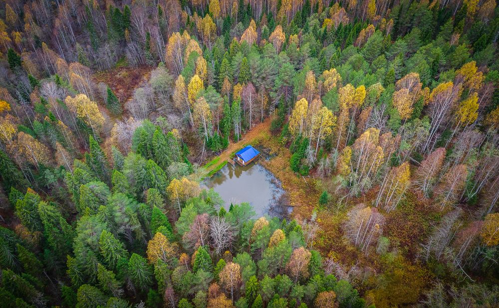Фотография автора Шуплецов Алексей